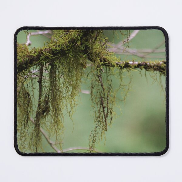 Item preview, Strange Forest designed and sold by Spiffle.
