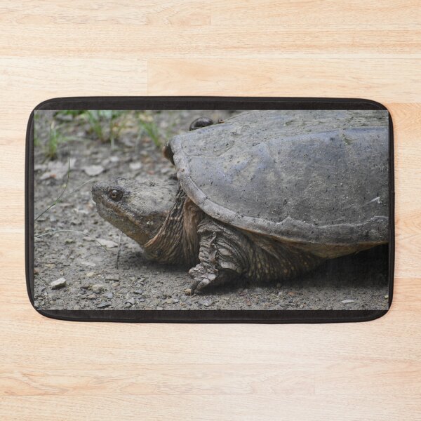 Item preview, Turtle time designed and sold by 1WhoDreams.