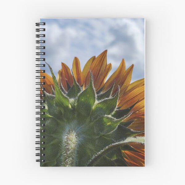 Item preview, Looking Back on Summer designed and sold by shutterbug2010.