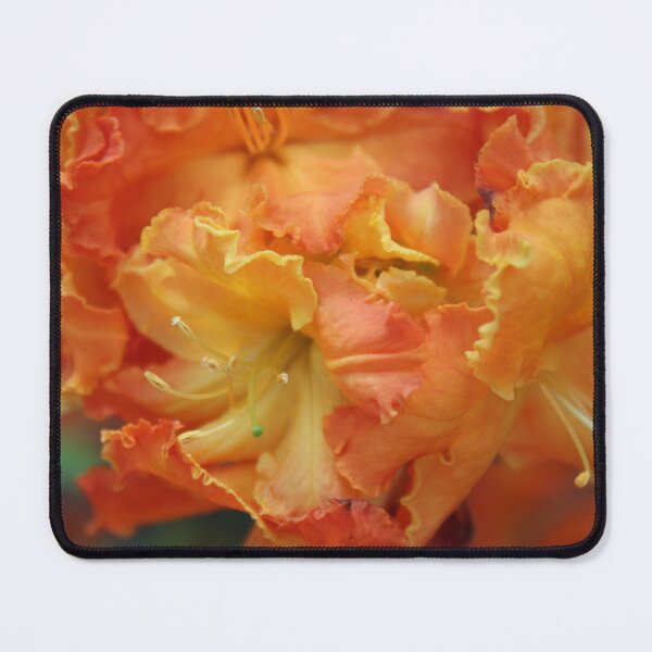 Item preview, Azaleas designed and sold by Spiffle.