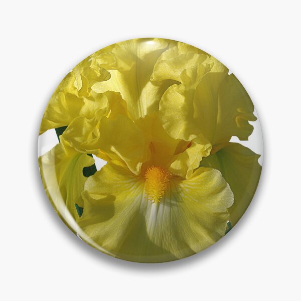 Item preview, 'Power of One' bearded iris designed and sold by rvjames.