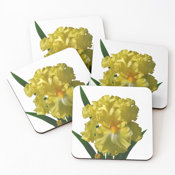 Item preview, 'Power of One' bearded iris designed and sold by rvjames.