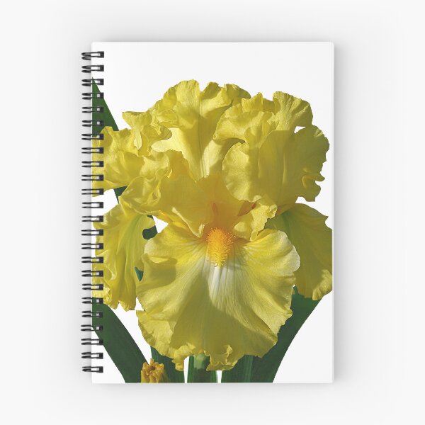 Item preview, 'Power of One' bearded iris designed and sold by rvjames.