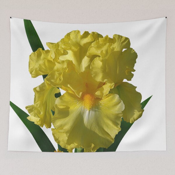 Item preview, 'Power of One' bearded iris designed and sold by rvjames.