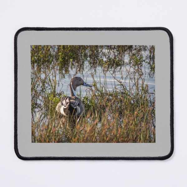 Item preview, Sitting Duck designed and sold by CarolM.