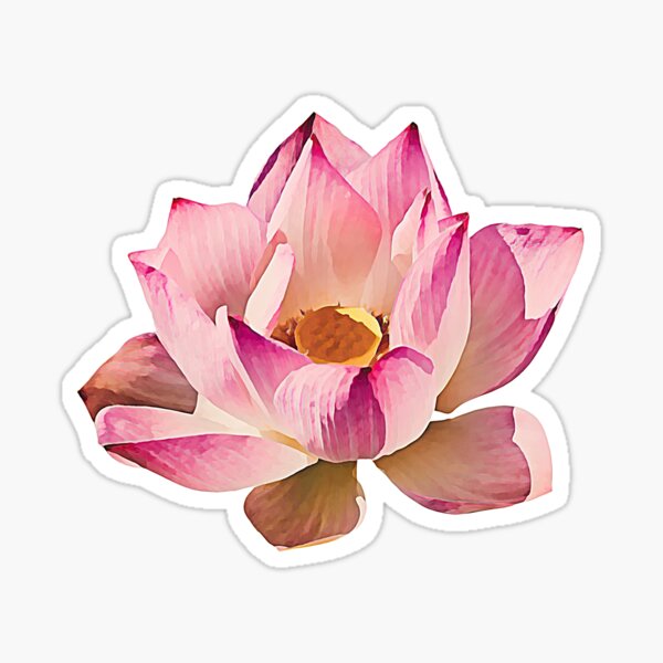 Aperçu de l'œuvre Lotus créée et vendue par HustleEngine.