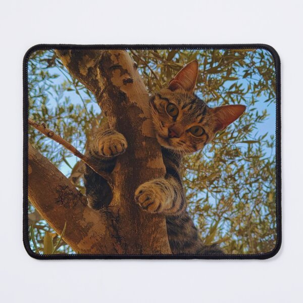 Item preview, Cute kitty on the tree. designed and sold by DaliaSabryTee.