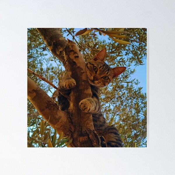 Item preview, Cute kitty on the tree. designed and sold by DaliaSabryTee.