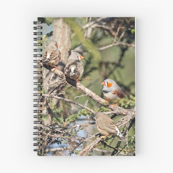 Item preview, Zebra Finches - 596 designed and sold by Emmy Silvius.