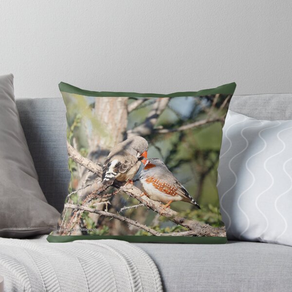 Item preview, Zebra Finches - 647 designed and sold by Emmy Silvius.