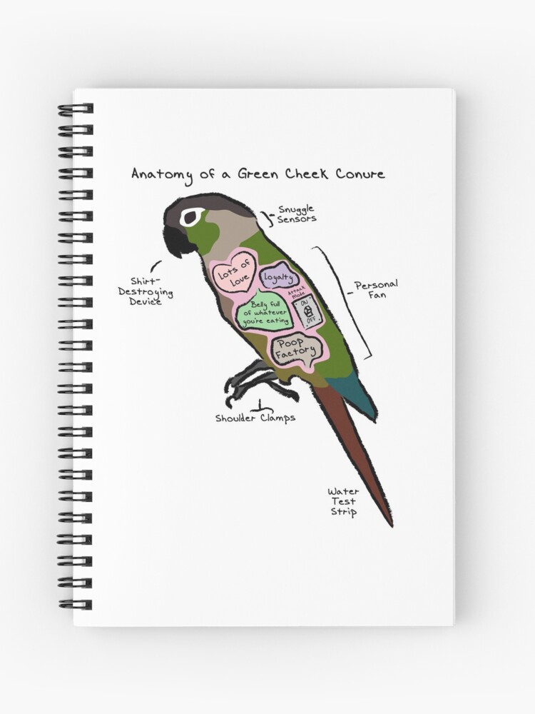 Anatomy of a Green Cheek Conure Spiral Notebook for Sale by