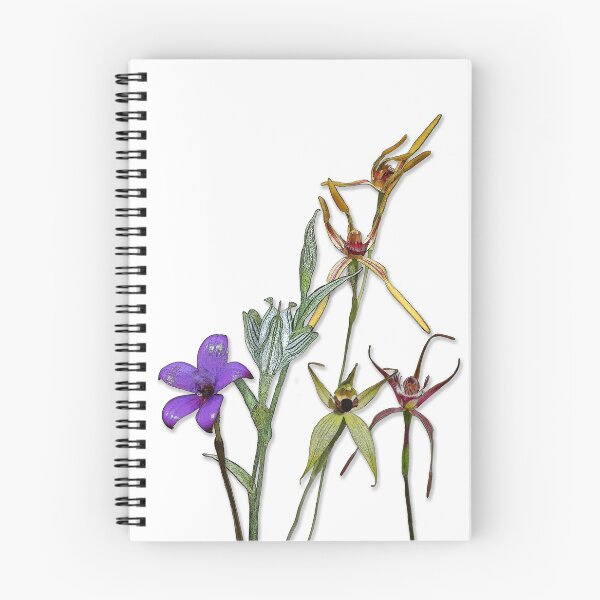 Item preview, Orchids of Australia 6 Native orchids of Western Australia designed and sold by Leonie Mac Lean.