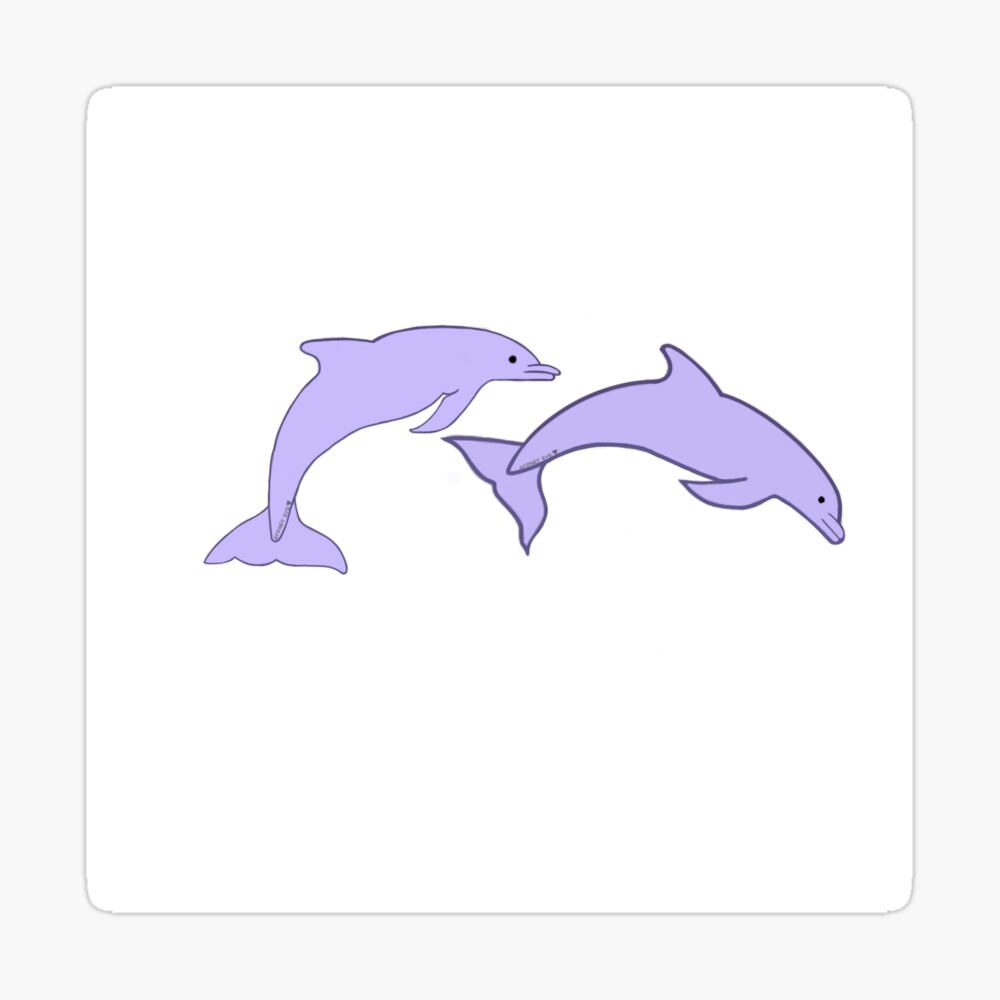 UVST dolphins Magnet