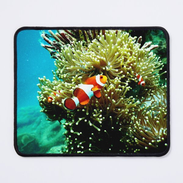 Item preview, ANIMALS #30 - Funny Orange White Clownfish designed and sold by DEL-Productions.