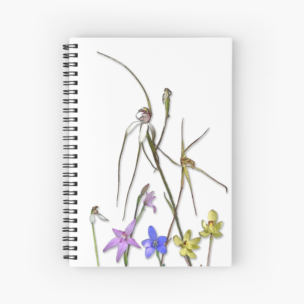 Orchids of Australia 7 Native orchids of Western Australia Spiral Notebook