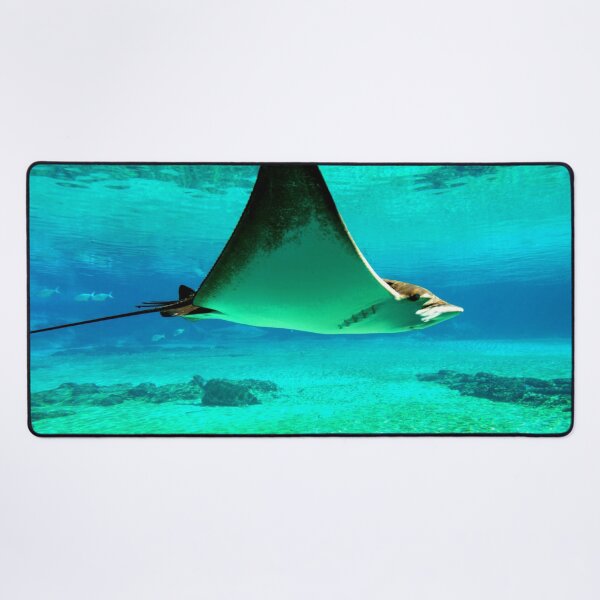 Item preview, ANIMALS #32 - Graceful Manta Ray in Turquoise Waters designed and sold by DEL-Productions.