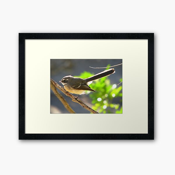 Lil' Bird Framed Art Print