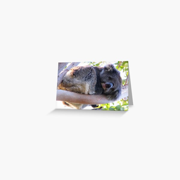To Sleep Greeting Card
