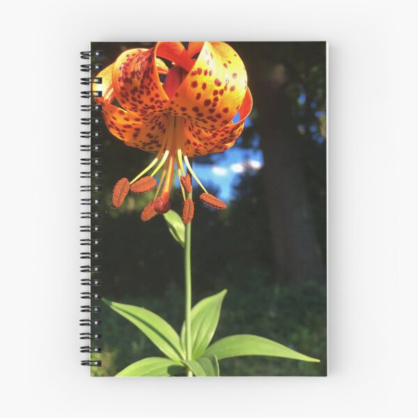 Item preview, lirio de tigre designed and sold by mackography.