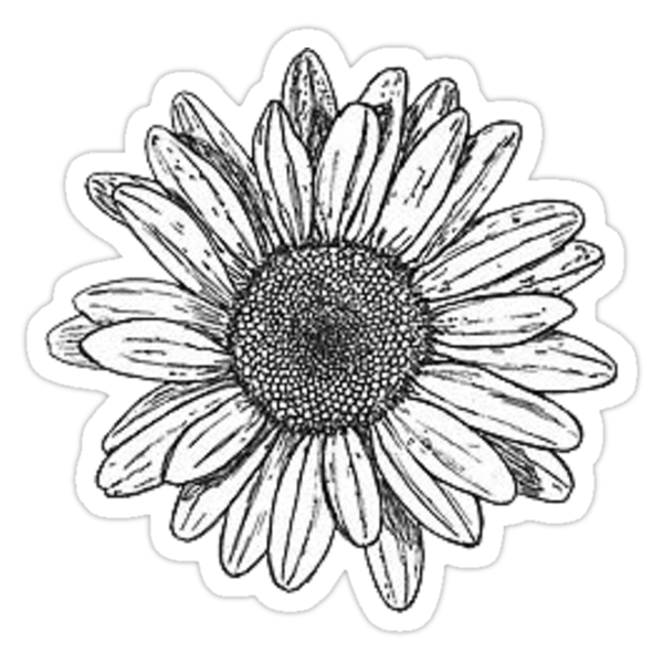 sunflower doodle