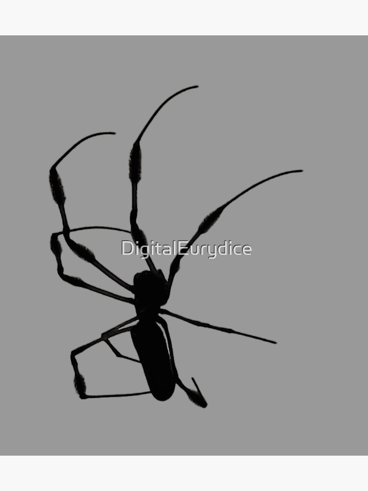 Photograph silhouette | golden silk orb weaver spider | elegant lady" Greeting Card for Sale by DigitalEurydice | Redbubble Photograph silhouette | golden silk orb weaver spider | elegant lady" Greeting Card for Sale by DigitalEurydice | Redbubble