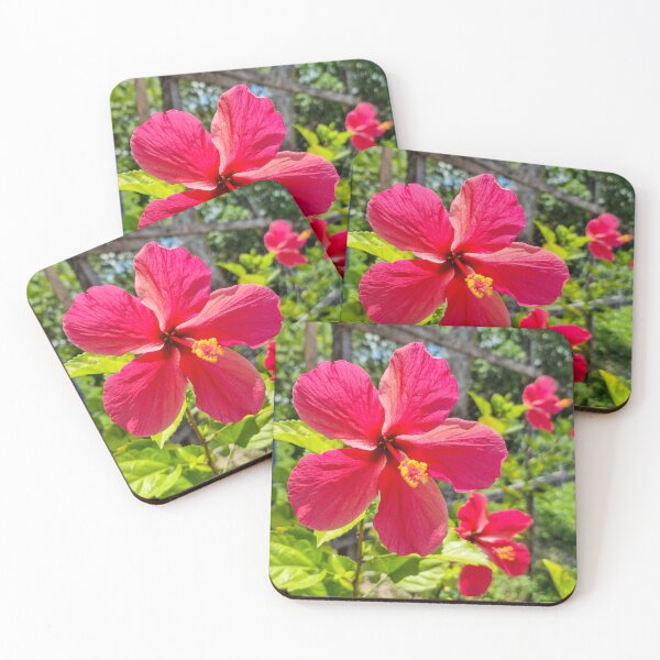 Item preview, Pink Hibiscus Flower designed and sold by Ross.A.Campbell.