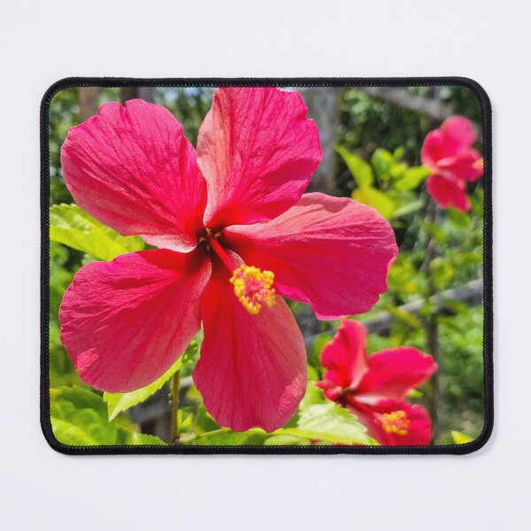 Item preview, Pink Hibiscus Flower designed and sold by Ross.A.Campbell.
