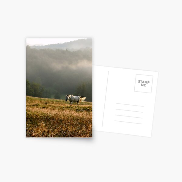 Alone Postcard