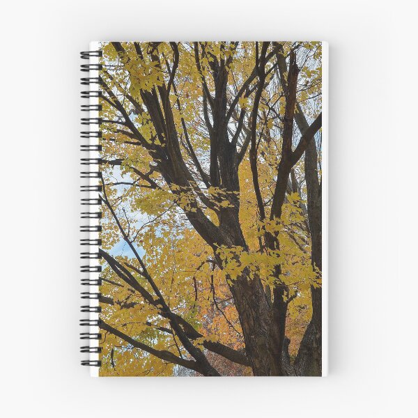 Item preview, Yellow and Black Trees designed and sold by Madison Foeller.