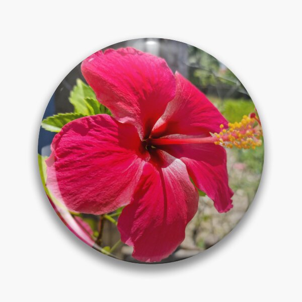 Item preview, Pink Hibiscus Flower designed and sold by Ross.A.Campbell.