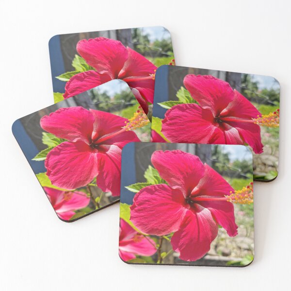 Item preview, Pink Hibiscus Flower designed and sold by Ross.A.Campbell.