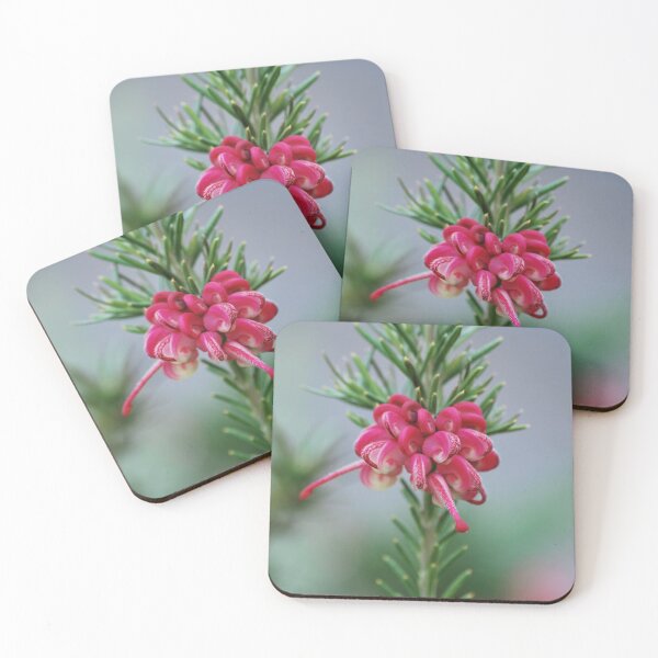 Item preview, Grevillea Stem designed and sold by Lozzar Flowers & Art.