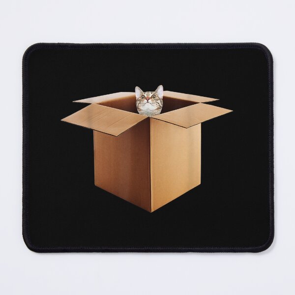 Item preview, Funny Cat In A Big Cardboard Box For Cat Owners designed and sold by Milanewman.
