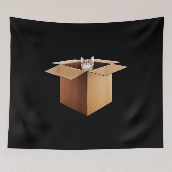 Item preview, Funny Cat In A Big Cardboard Box For Cat Owners designed and sold by Milanewman.