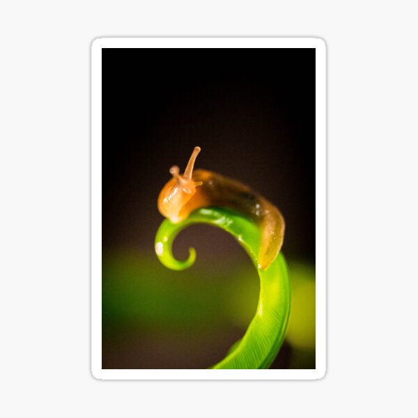 Item preview, Slug designed and sold by Gift like the GOAT.