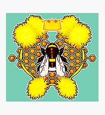 Bumblebee Queen Photographic Print