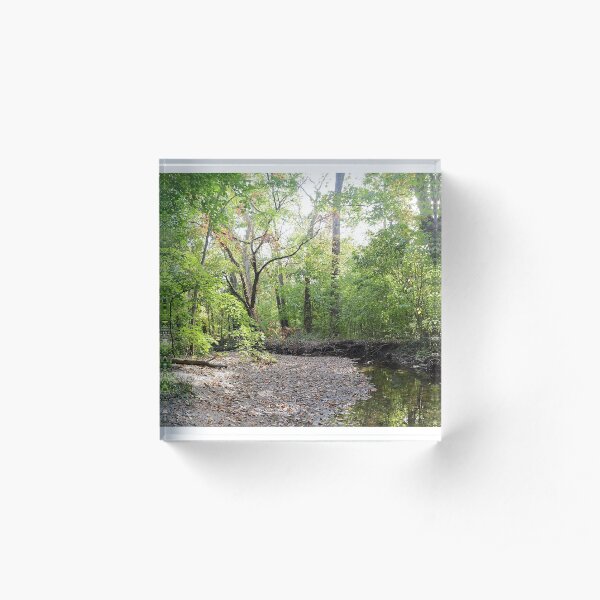 Forest Panoramic Acrylic Block
