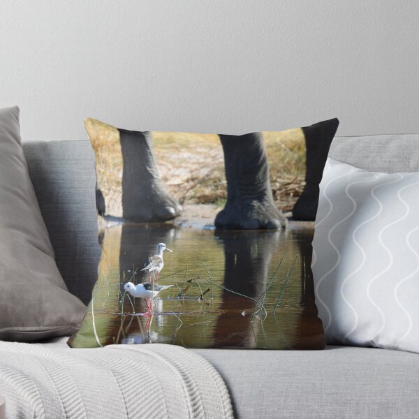 Item preview, Unusual Reflections designed and sold by Anthony Goldman.