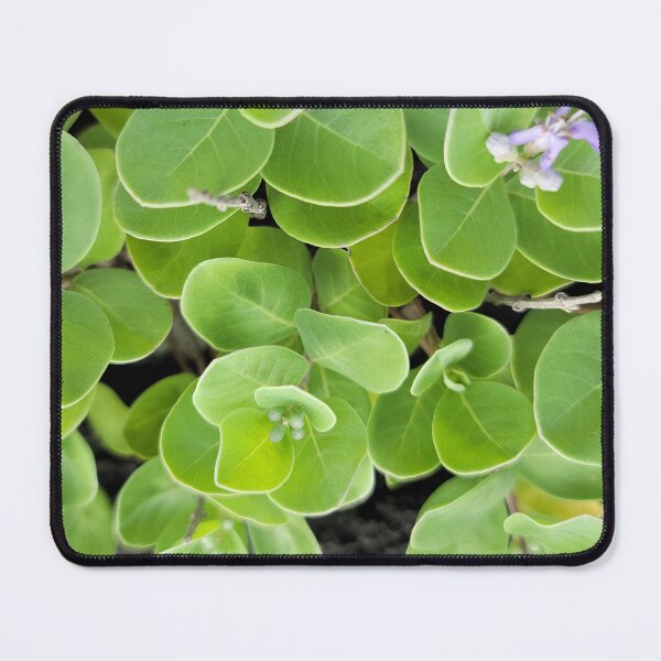 Item preview,  Wildflowers blooming  over basalt rocks on the Gimnyeong coast of Jeju, Korea designed and sold by human8891.