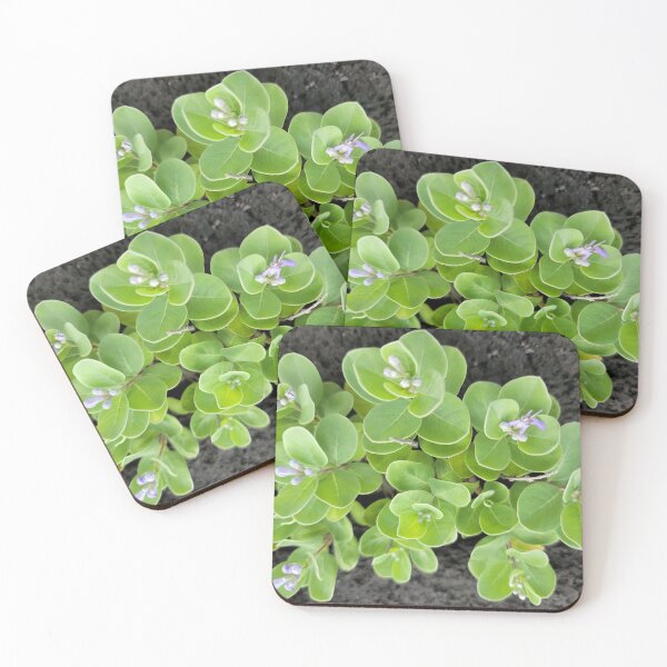 Item preview,  Wildflowers blooming  over basalt rocks on the Gimnyeong coast of Jeju, Korea designed and sold by human8891.