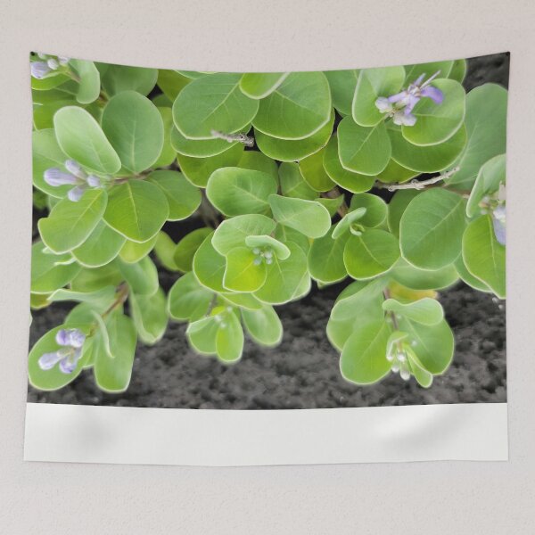 Item preview,  Wildflowers blooming  over basalt rocks on the Gimnyeong coast of Jeju, Korea designed and sold by human8891.