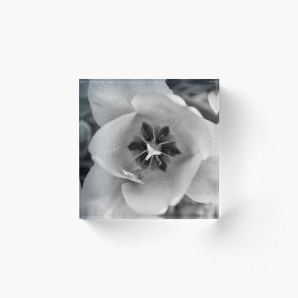 Item preview, Black and White Flower designed and sold by Madison Foeller.