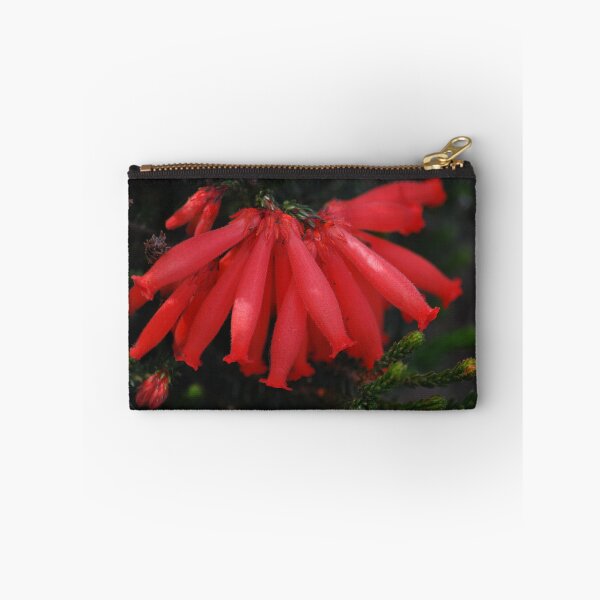 Item preview, ID me please, am I a common heath native? designed and sold by Lozzar Flowers & Art.