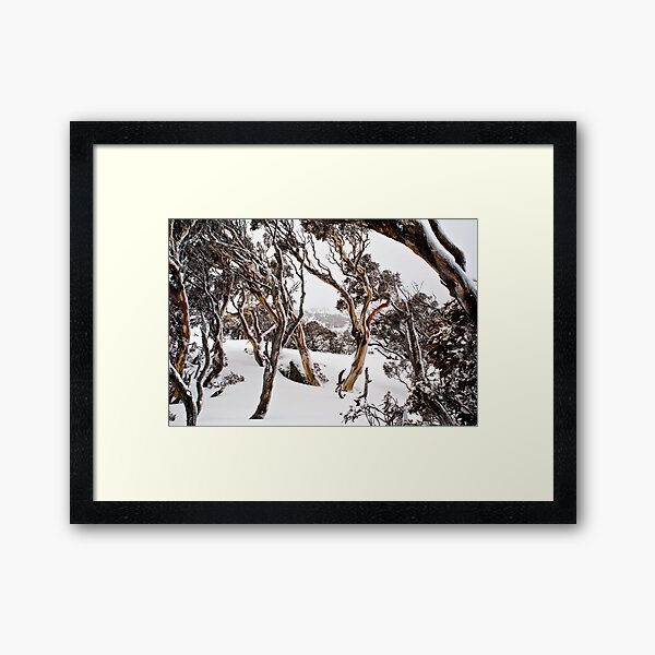 Item preview, Snow Gums designed and sold by Blue Wattle Photography.