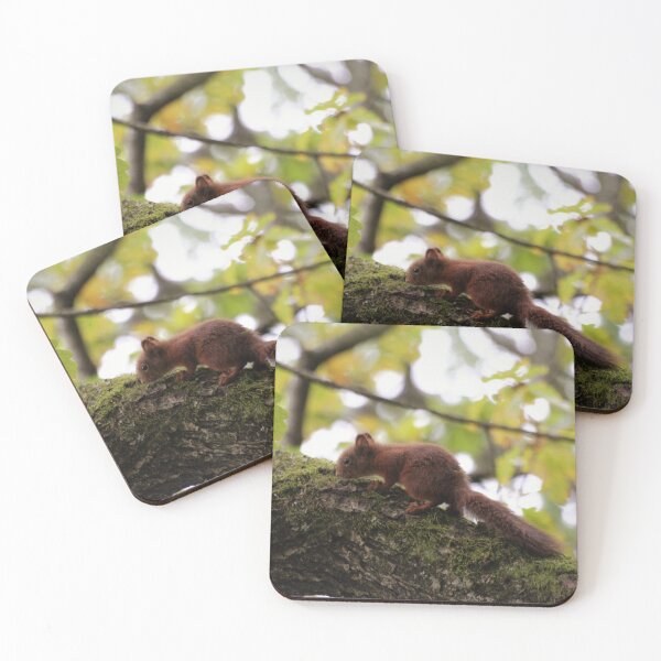 Item preview, Red Squirrel designed and sold by Spiffle.