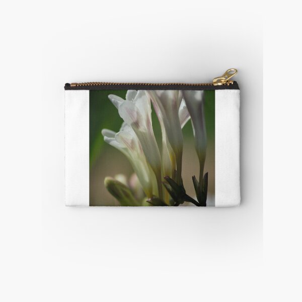 Item preview, Freesia, Alba, Leichtlinii designed and sold by Lozzar Flowers & Art.