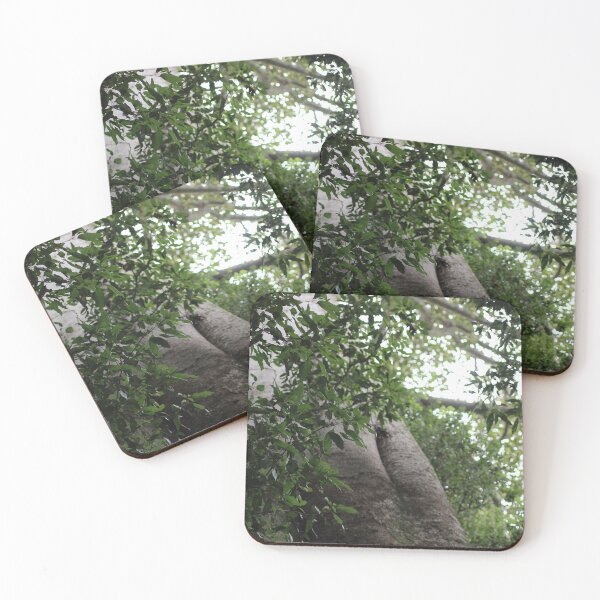Item preview, Looking up into the tree designed and sold by Jodie Cooper.