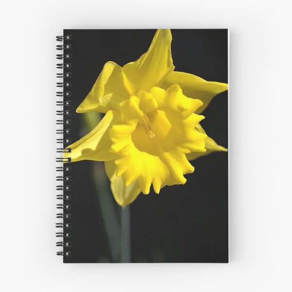 Item preview, The Daffodil Glows designed and sold by Joy Watson - Natural Light Photography .