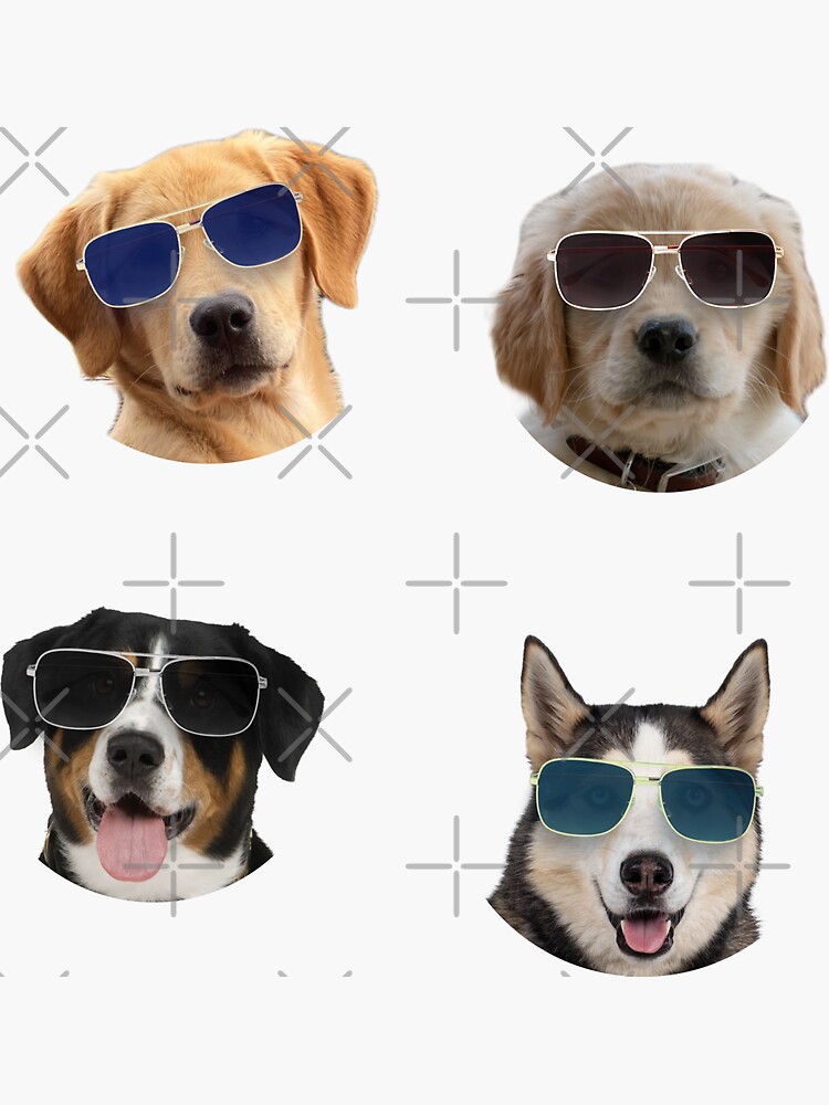 "Dogs With Glasses Stickers Pack Sticker" Sticker for Sale by Petslook