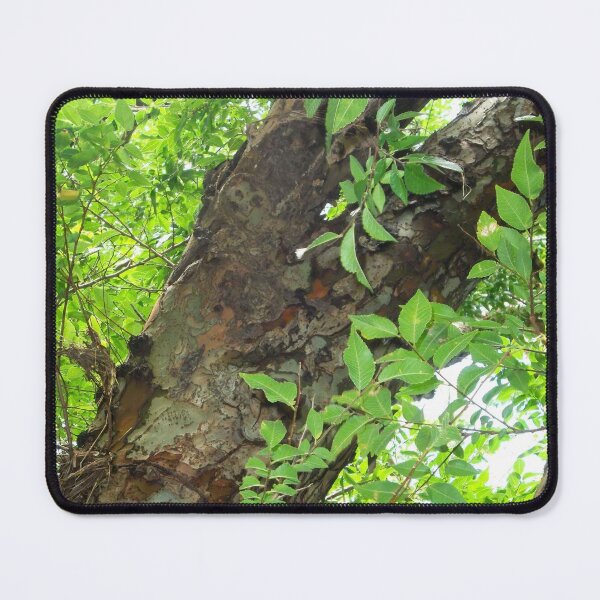 Item preview, side ways designed and sold by Jodie Cooper.